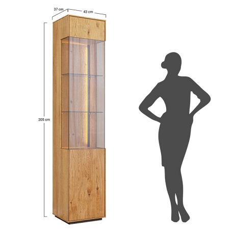 DIM_ZICOL01P_COLLODI DIM_ZICOL01P_COLLODI