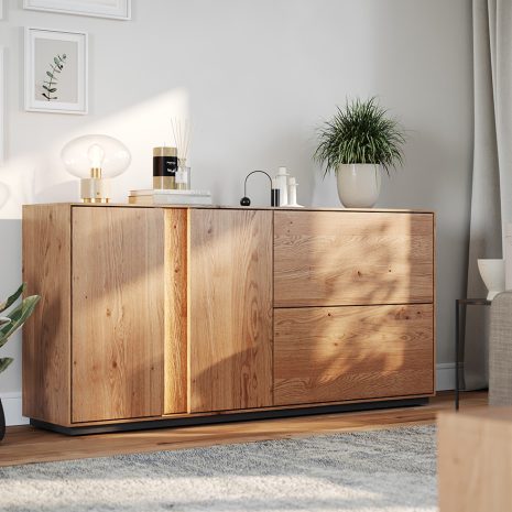 IMG_COLLODI_3 IMG_COLLODI_3