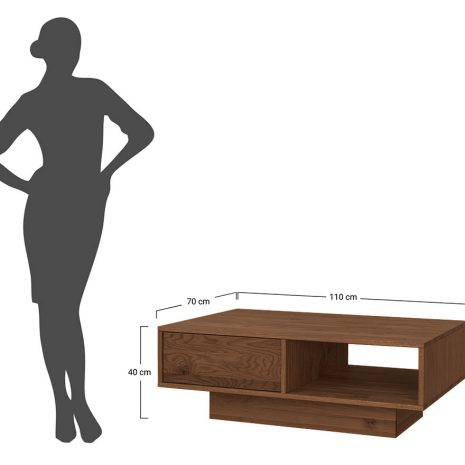 DIM_ZICOL12T_COLLODI